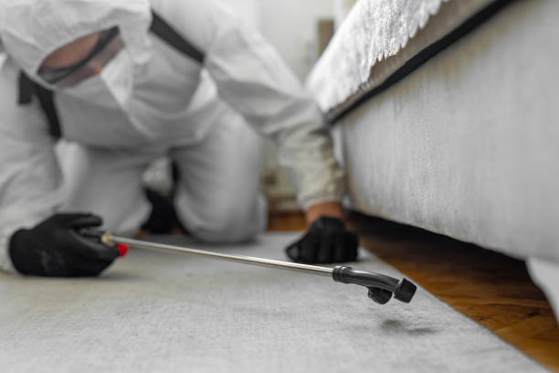 Professional Ant Control technician working in Sealy, TX