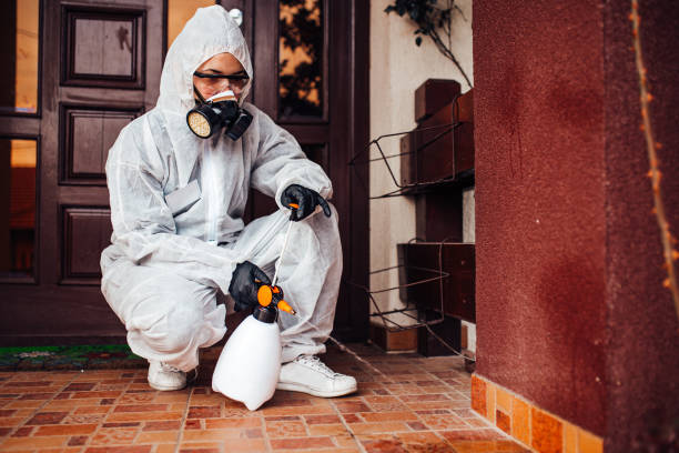 Reliable Ant Control contractor in Sealy, TX by Show Me Pest Control